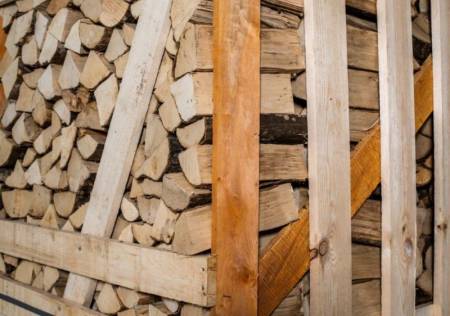Brennholz Hainbuche 33 cm 2 RM – Bild 4